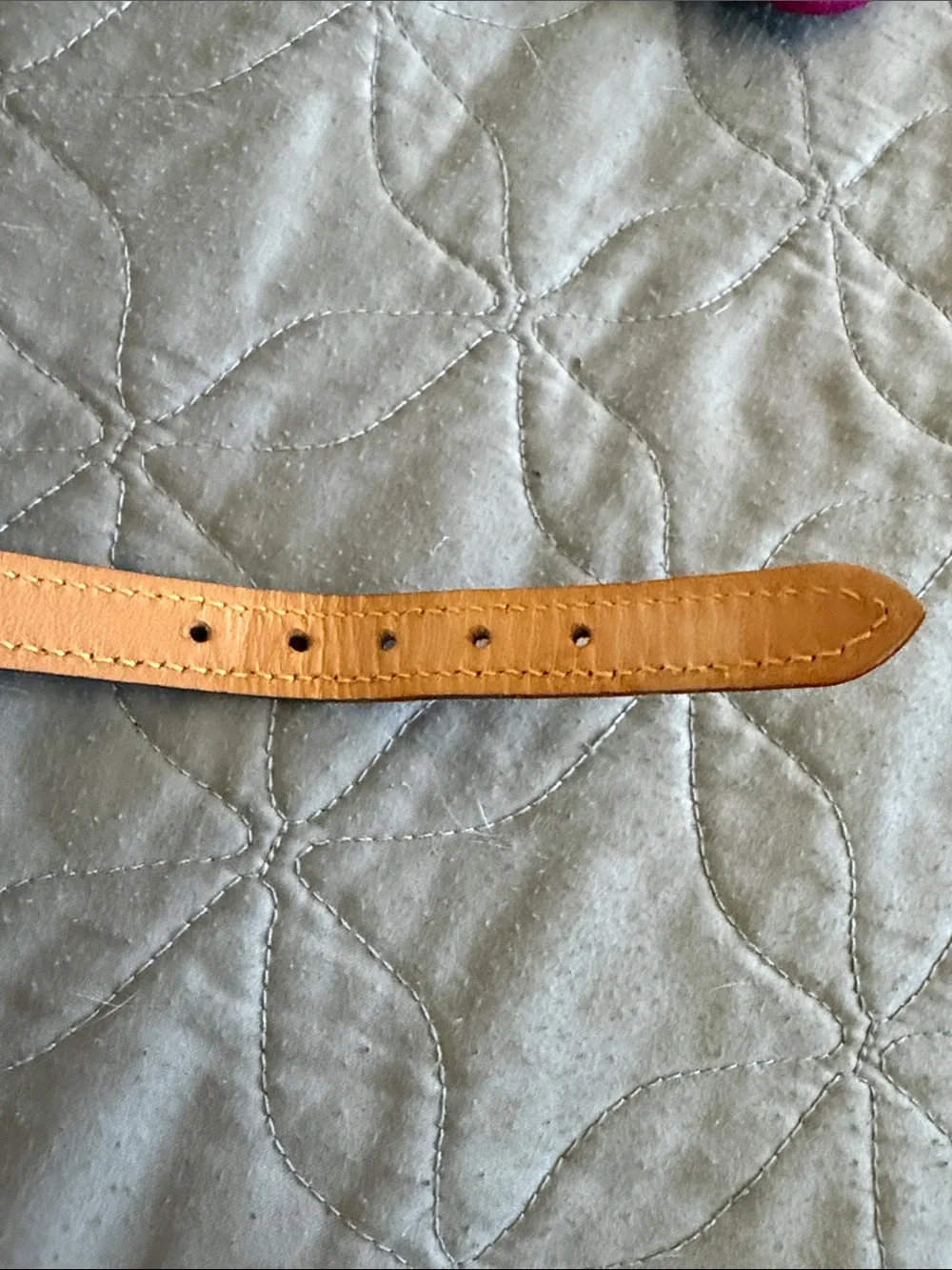 Louis Vuitton Barter Dog collar